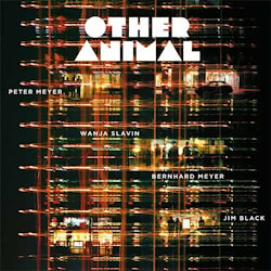 Other Animal - Other Animal  