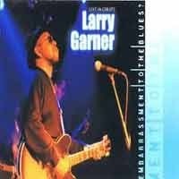 Larry Garner - Embarrassment To The Blues?  