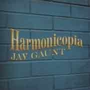 Jay Gaunt - Harmonicopia  