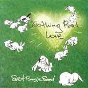 Svet Boogie Band - Nothing But Love  