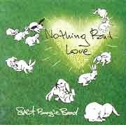 Svet Boogie Band - Nothing But Love  