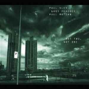 Paul Bley / Gary Peacock / Paul Motian - Not Two, not One  