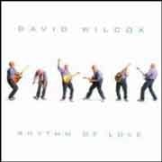 David Wilcox - Rhythm of Love  