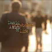 David Brewbaker - A Sign Of Life  