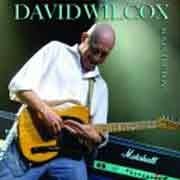 David Wilcox - Boy In The Boat  