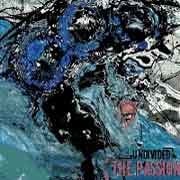 Undivided - The Passion  