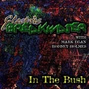 Electric Breakwater - In The Bush  