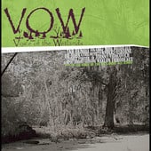 Tab Benoit - Voice of the Wetlands  