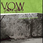 Tab Benoit - Voice of the Wetlands  