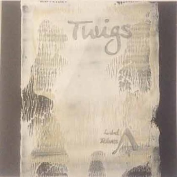 Didier Lasserre / Thierry Waziniak - Twigs  