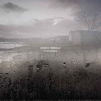 Joshua Trinidad - In November  
