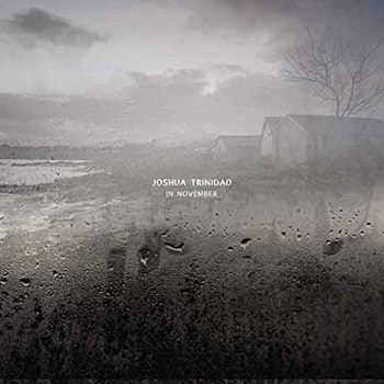Joshua Trinidad - In November  