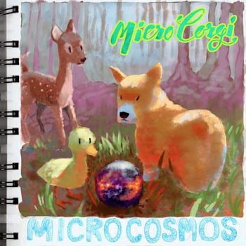 MicroCorgi - MicroCosmos  