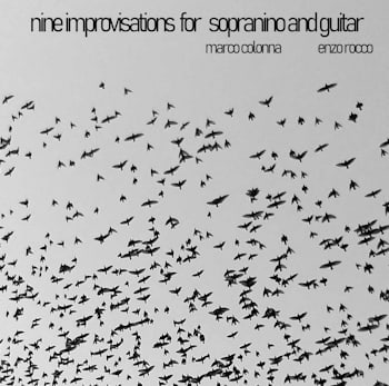 Marco Colonna / Enzo Rocco - Nine Improvisations for Sopranino and Guitar  