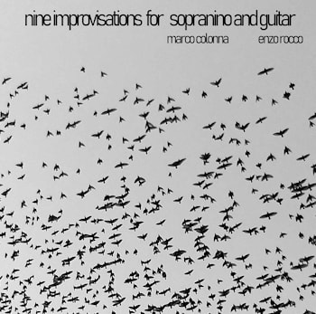 Marco Colonna / Enzo Rocco - Nine Improvisations for Sopranino and Guitar  