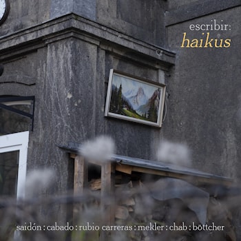 еscribir: - haikus  