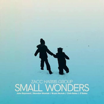 Zacc Harris Group - Small Wonders  