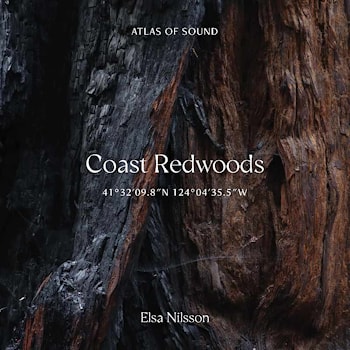 Elsa Nilsson - Coast Redwoods 41°32’09.8”N 124°04’35.5”W  