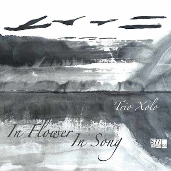 Trio Xolo - In Flower, In Song  
