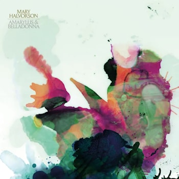 Mary Halvorson - Amaryllis Belladonna  