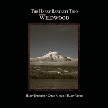 Harry Bartlett Trio - Wildwind  