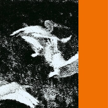Leib - Mother Hologram/Sister Anagram  