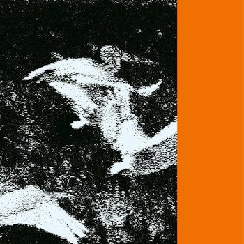 Leib - Mother Hologram/Sister Anagram  
