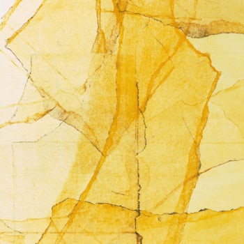 Wadada Leo Smith / Amina Claudine Myers - Central Park's Mosaic of Reservoir, Lake, Paths and Gardens  