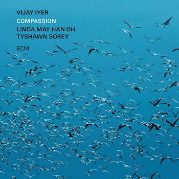 Vijay Iyer Trio - Compassion  