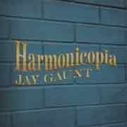 Jay Gaunt - Harmonicopia  