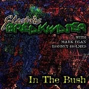 Electric Breakwater - In The Bush  