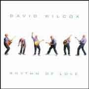 David Wilcox - Rhythm of Love  