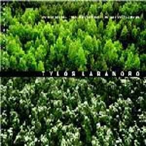 Gvidas Kovera, Todar Kaskurevic, Petras Vyshniauskas - Tylos Labanoro  