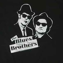 Виктор Леденев - Blues Brothers: Свинг на братскую тему  