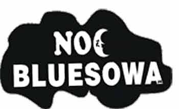 Noc bluesowa 2005 - Zydeco. Гомельские блюзовые вариации  