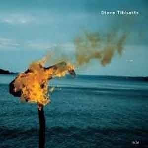 Steve Tibbets - A Man About A Horse  