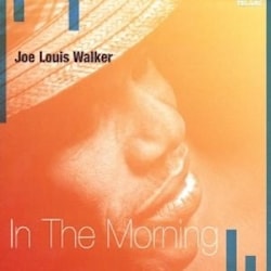 Joe Louis Walker - In The Morning  