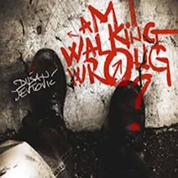 Dušan Jevtović - Am I Walking Wrong?  