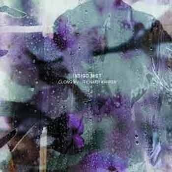 Cuong Vu / Richard Karpen - Indigo Mist  