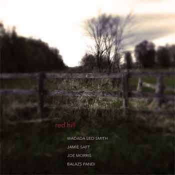 Wadada Leo Smith / Jamie Saft / Joe Morris / Balazs Pandi - Red Hill  