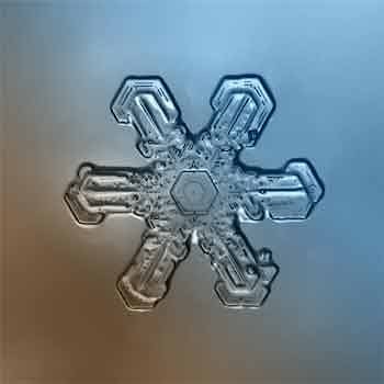 M-Opus - 1975 Triptych  