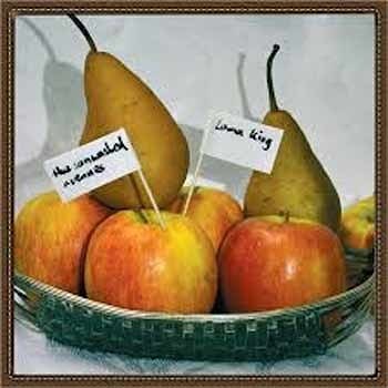 The Sunwashed Avenues - Lama King  