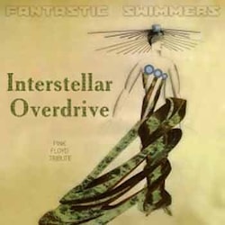 Fantastic Swimmers - Interstellar Overdrive  