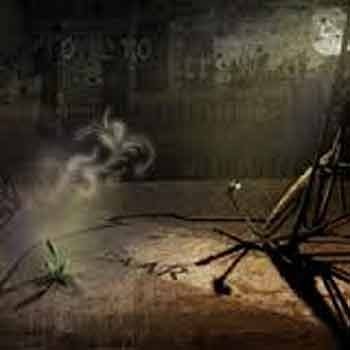 DAAR - One-Way Expedition  