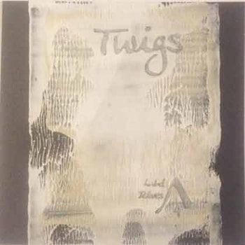 Didier Lasserre / Thierry Waziniak - Twigs  