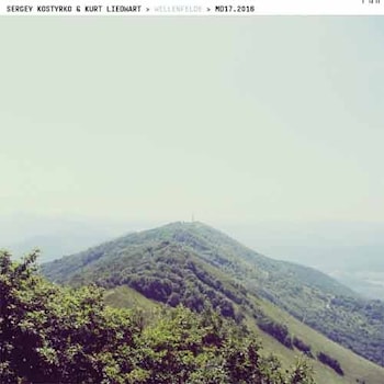 Sergey Kostyrko & Kurt Liedwart - Wellenfelder  