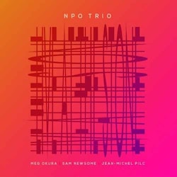 NPO Trio - Live at The Stone  