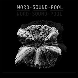 Word-Sound-Pool: музыканты и литераторы из 4 стран объединились в одном проекте  