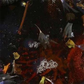 Philippe Petit & Friends - On Top...  