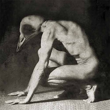 Helium Horse Fly -Hollowed  